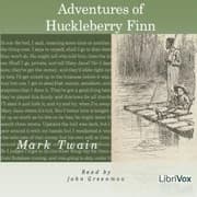 Adventures of Huckleberry Finn by Mark Twain — audiobook cover art