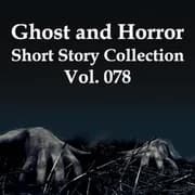 Short Ghost and Horror Collection 078 by Various — audiobook cover art
