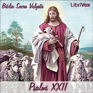 Bible (Biblia Sacra Vulgata) 19: Psalmi XXII by Biblia Sacra Vulgata — audiobook cover art