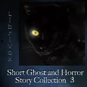 Short Ghost and Horror Collection 003 by Various — audiobook cover art