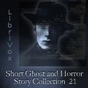Short Ghost and Horror Story Collection 021 by Various — audiobook cover art